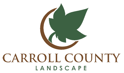Carroll County Landscape