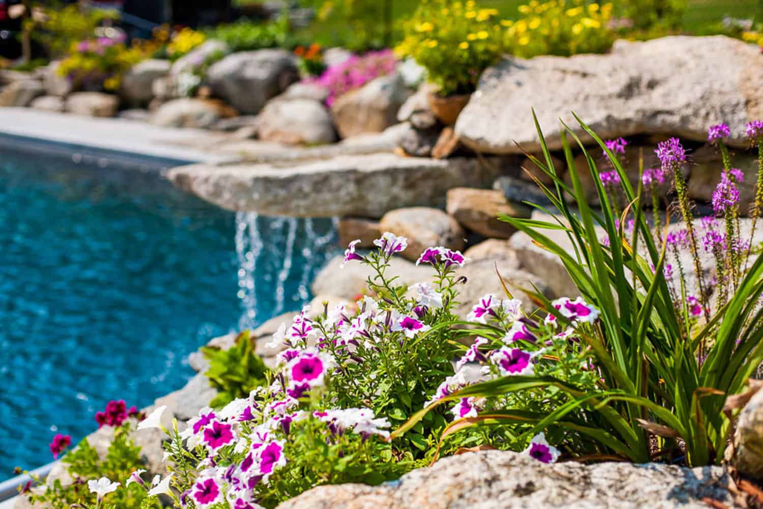 pools-features-gallery-11
